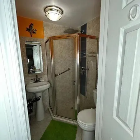 Sleeps 3, Casa Tropical In Miami Apartment Exterior photo